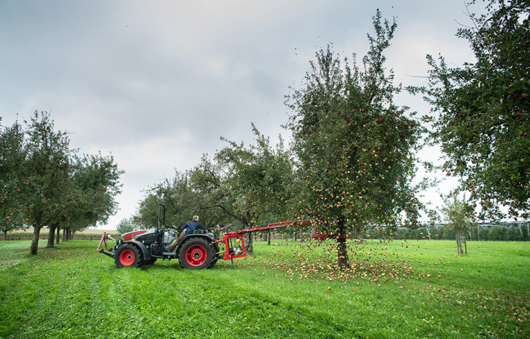 RAMSEIER Suisse AG anticipe une récolte de fruits à cidre prometteuse